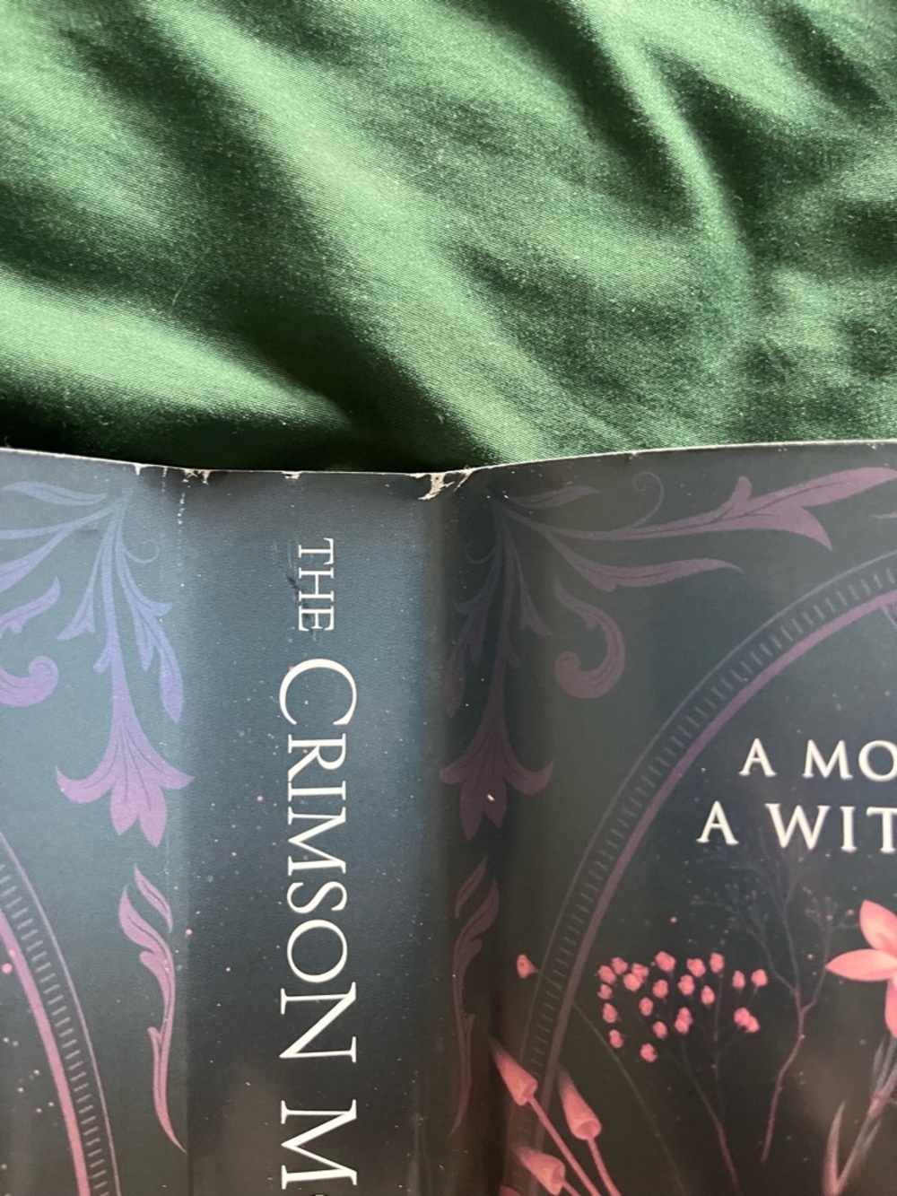 Fairyloot the Crimson Moth and The Rebel Witch - Picture 5 of 7